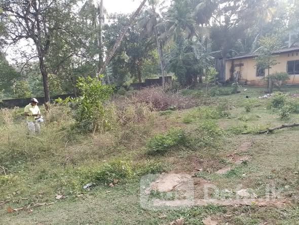 Land for Sale in Ragama