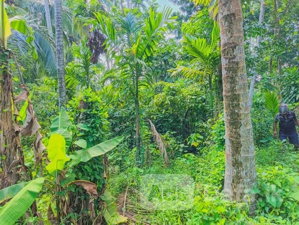 Land for Sale Minuwangoda