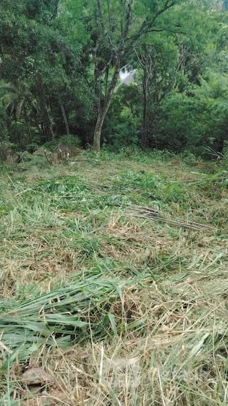 20 Perch Land Sale Kandy