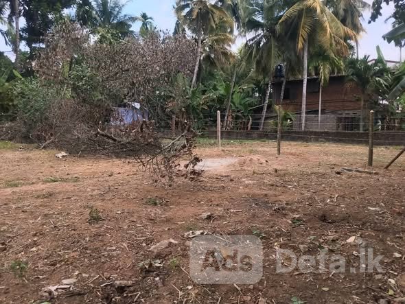 Land for Sale Kelaniya