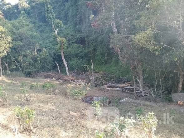 30 Perches Land for Sale Rikillagaskada, Kandy