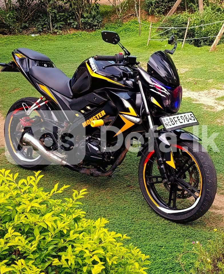 2007 Demak Skyline GT 225