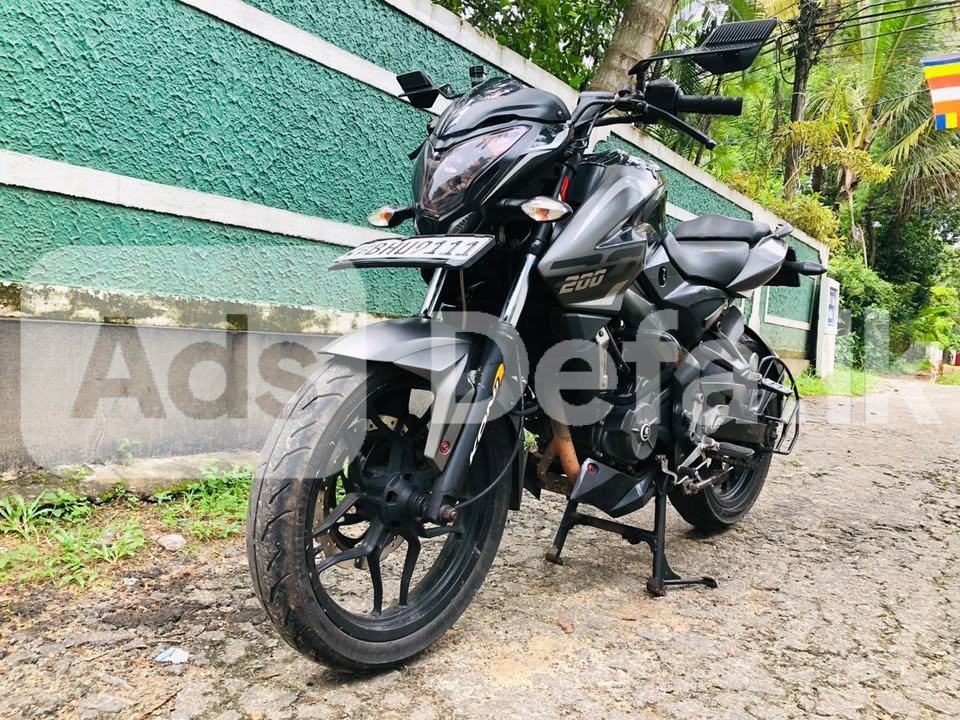 2019 Bajaj Pulsar