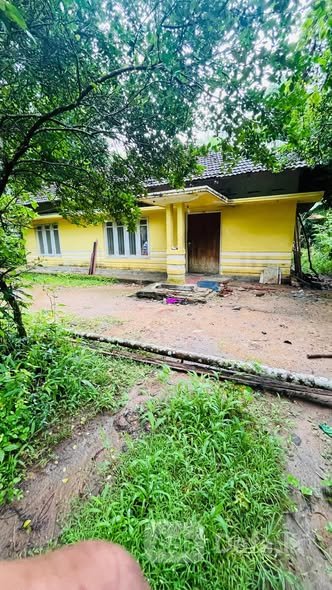 House for sale Polgahawela