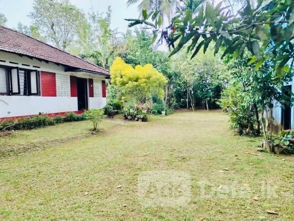 House and Land for Sale in Kamburupitiya