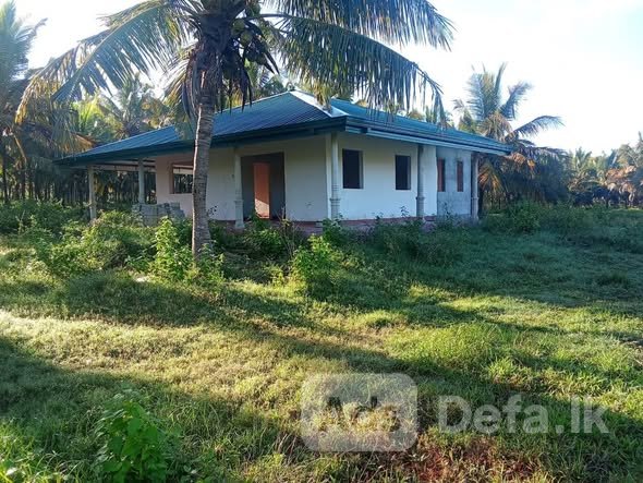 Land for Sale in Halawata Pallama