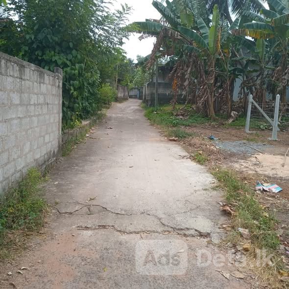Prime Land for Sale Veyangoda