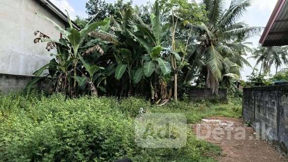 Lands For Sale Meegahawaththa, Mahena road